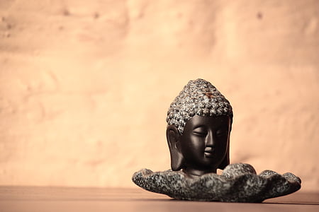 shallow focus photography of Gautama buddha head table decor thumbnail