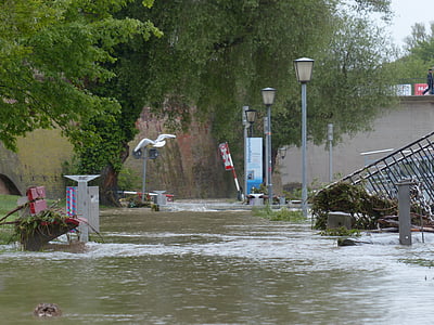 white bird flying over flood during daytime thumbnail