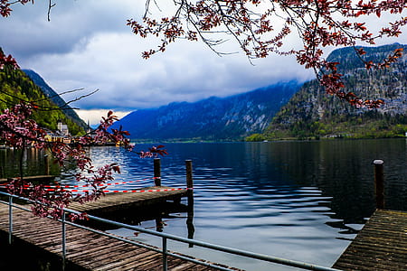 landscape, mountains, water, trees thumbnail