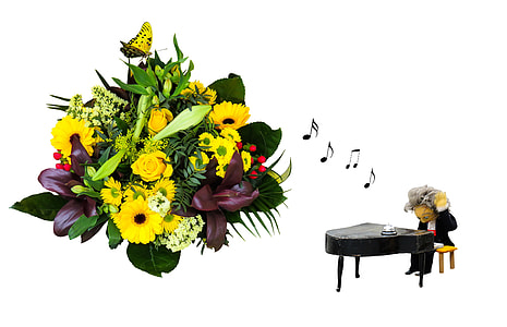 illustration of flowers and man playing piano thumbnail