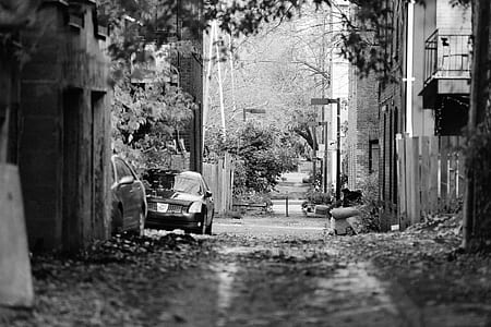 grayscale photo of pathway thumbnail