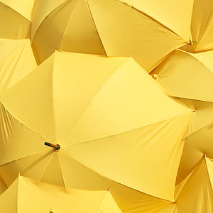 yellow umbrella lot thumbnail
