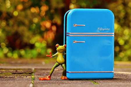green tree frog figurine next to blue metal case thumbnail