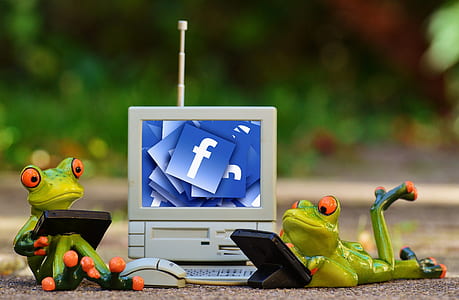 two frogs using gadgets figurines thumbnail