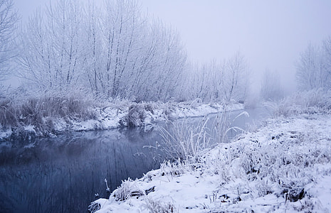 frozen swap photo thumbnail