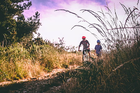 Two Bikers on Bush-lined Path thumbnail