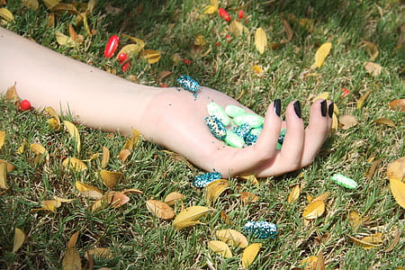 person holding green stone fragments thumbnail