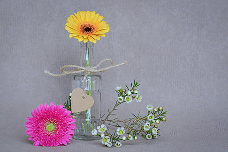 two pink and yellow Gerbera daisies near white clustered flowers thumbnail