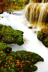 waterfalls and river surrounded by flowers thumbnail