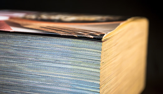 closeup photo of book thumbnail