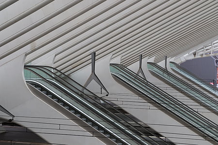 empty escalators inside building thumbnail
