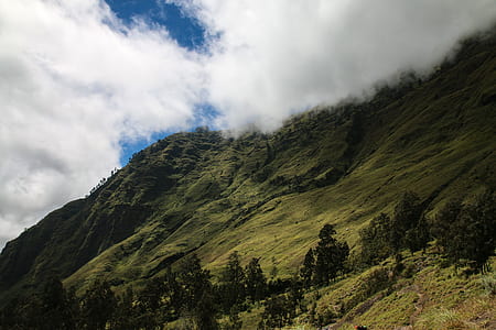 landscape photo of mountain under blue sky as background thumbnail