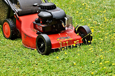 red and black push mower on green grass field thumbnail