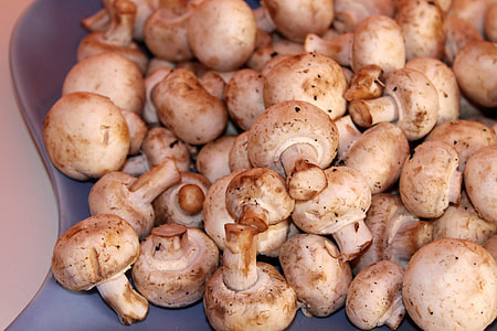 Mushrooms, White Mushroom thumbnail