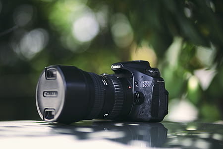 Canon DSLR camera thumbnail