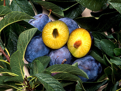 sliced round fruits on green plants thumbnail