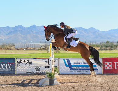 person riding horse thumbnail