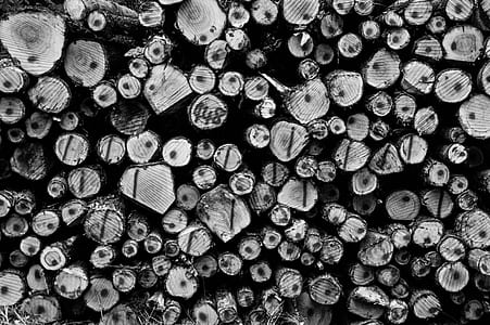 Grayscale Photography of Wirewood Logs thumbnail