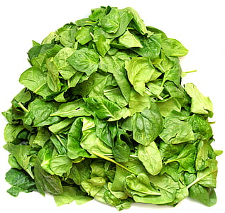 green vegetable leaves thumbnail