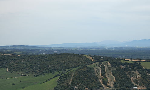 high-angle view of green grass field thumbnail