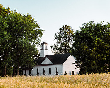 church surrounded by green leafed trees during daytime thumbnail