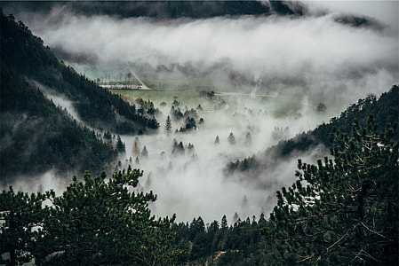 green trees mountain photo thumbnail
