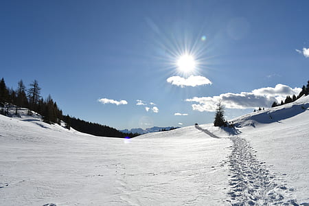 snow covered ground thumbnail