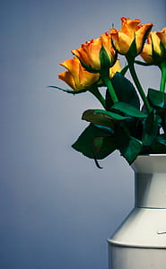 yellow flower arrangement in vase thumbnail