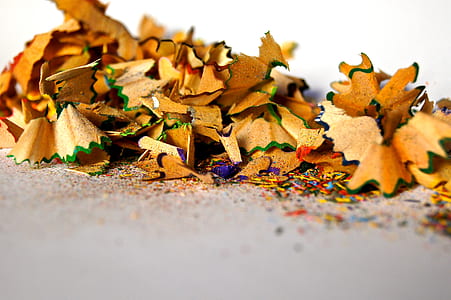pencil shavings thumbnail
