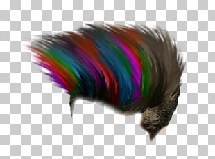 Hairstyle Picsart Photo Studio Editing Hairdressing Man S Black