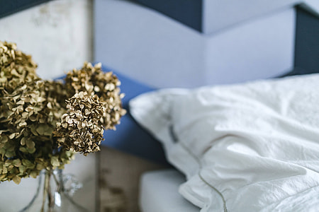 Designer bedroom with an ornamental golden plant in a jar by the bed thumbnail