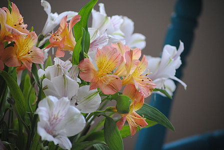 pink and white flowers centerpiece selective focus phot thumbnail