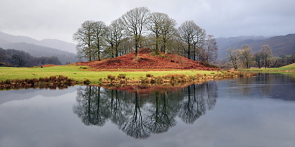 grey calm body of water near trees at daytime thumbnail