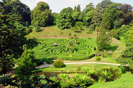 green leafed plants and trees thumbnail