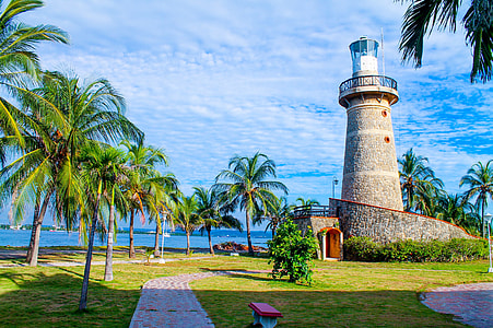lighthouse near coastline surrounded by coconut palm trees under blue sky at daytime thumbnail
