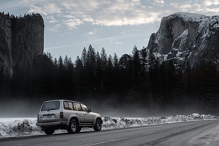 gray SUV crossing road at daytime thumbnail