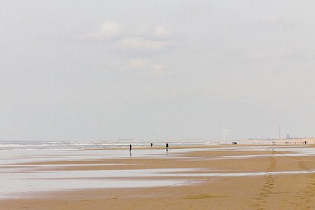 people standing on shore under gray sky at daytime thumbnail