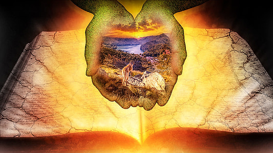 hand and book illustration thumbnail