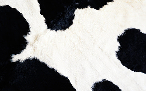 white and black textile thumbnail