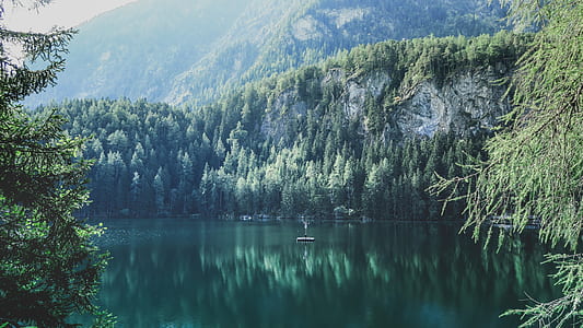 brown boat on body of water near furest thumbnail