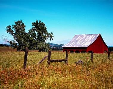 fence between grass fields thumbnail