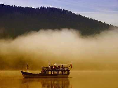 landscape photography of 2-storey boat sailing near forest thumbnail