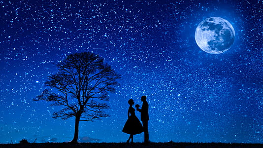 Photo Illustration of two lovers under the full moon on a starry night. thumbnail