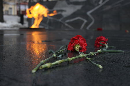 roses on floor thumbnail