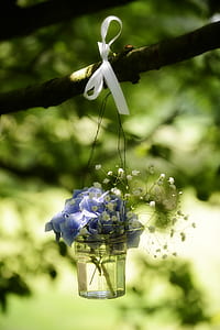 selective focus photograph of blue petaled flowers in clear glass vase hanging on tree branch thumbnail