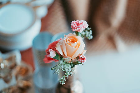 selective focus photo of peach and pink flowers in brown container thumbnail