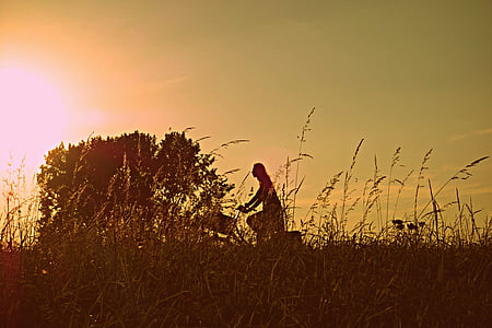 person riding bicycle during sunset thumbnail