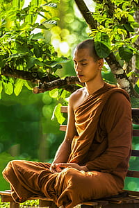 man wearing brown monk suit while sitting on bench near tree thumbnail