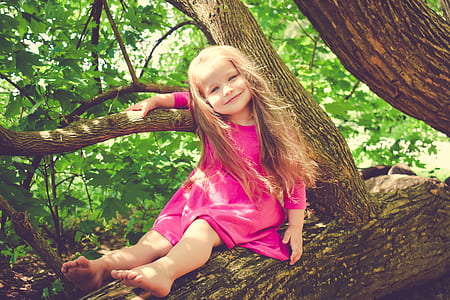 girl in pink long-sleeved dress sitting on tree thumbnail