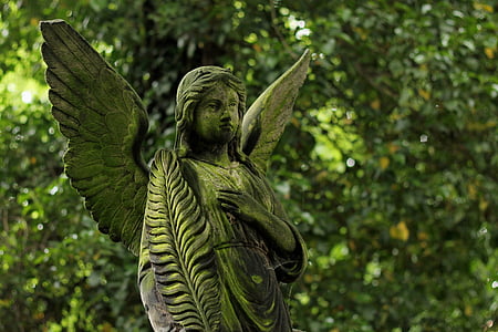 shallow focus photography of angel thumbnail